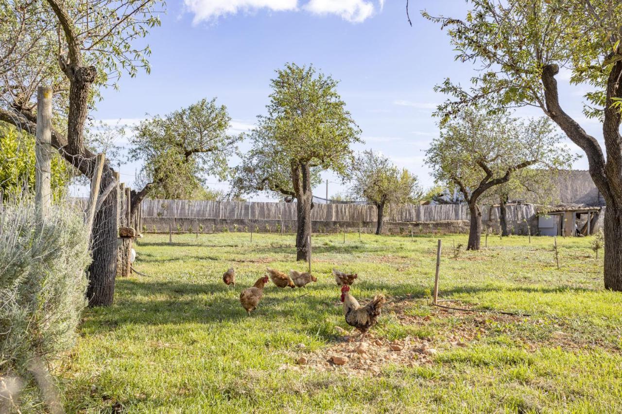 Sa Tanqueta Rustica